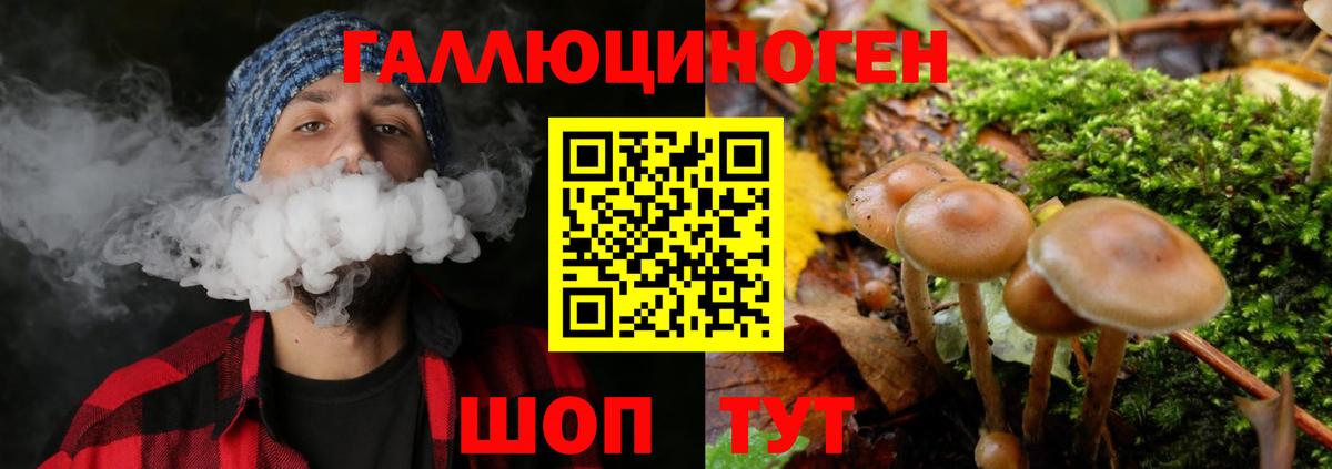 Галлюциногенные грибы Psilocybe  Вход с VPN  Усть-Илимск  Псилоцибиновые грибы Magic Shrooms 